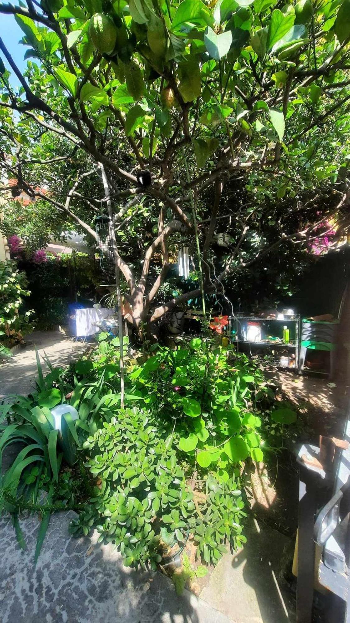 Les Violettes Apartamento Menton Exterior foto